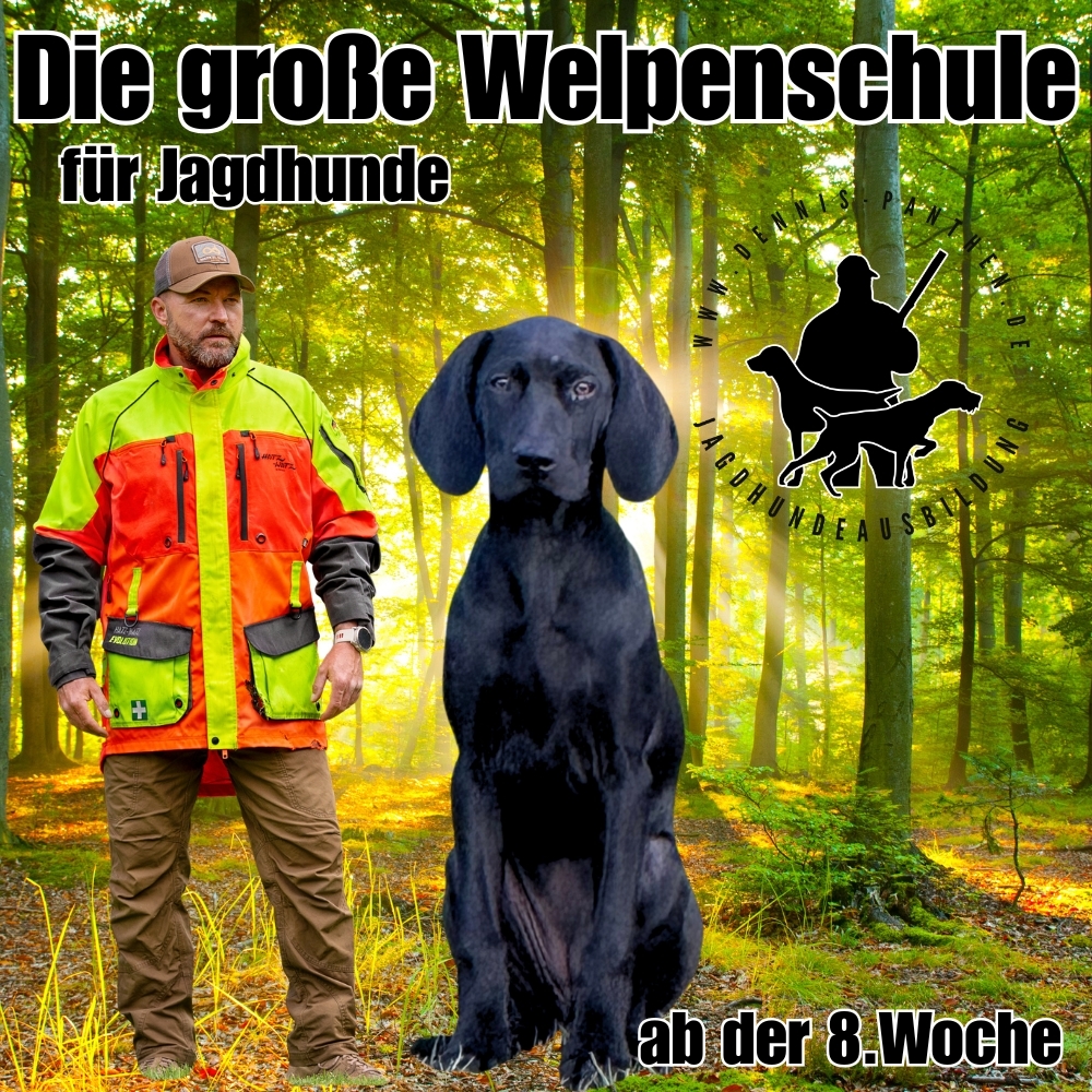 Die große Welpenschule Jagdhunde-1000x1000.jpg