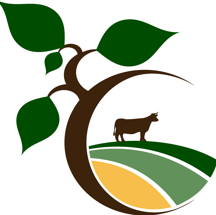 defaf-logo--nur-bildmarke_300ppi-847x846.png