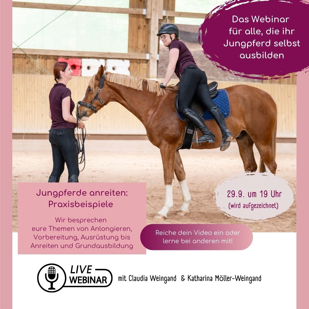 Kopie von Kopie von Webinar banner  Ausreiten  DR Community (1084 x 574 px) (1024 x 366 px) (1080 x 1350 px) (1024 x 366 px) (1080 x 1080 px)-2-1080x1080.jpg