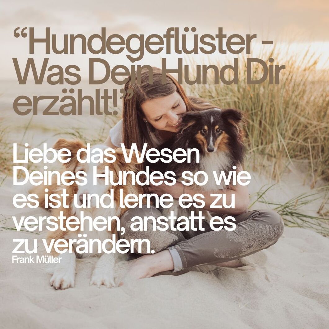 Onlinekurs Tierkommunikation (10 Module) (2)-1060x1060.jpg
