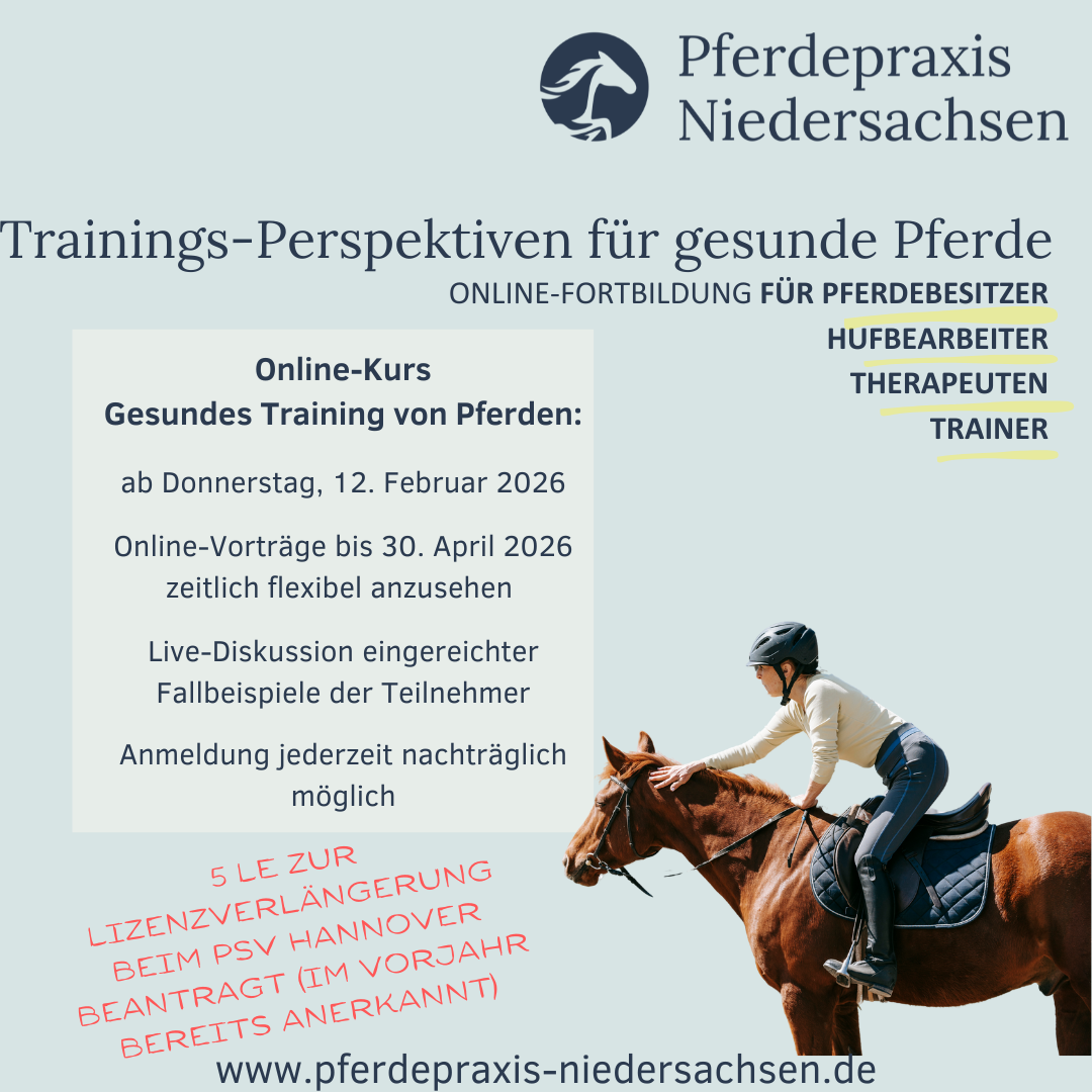 ablefy Besitzer Training-1080x1080.png