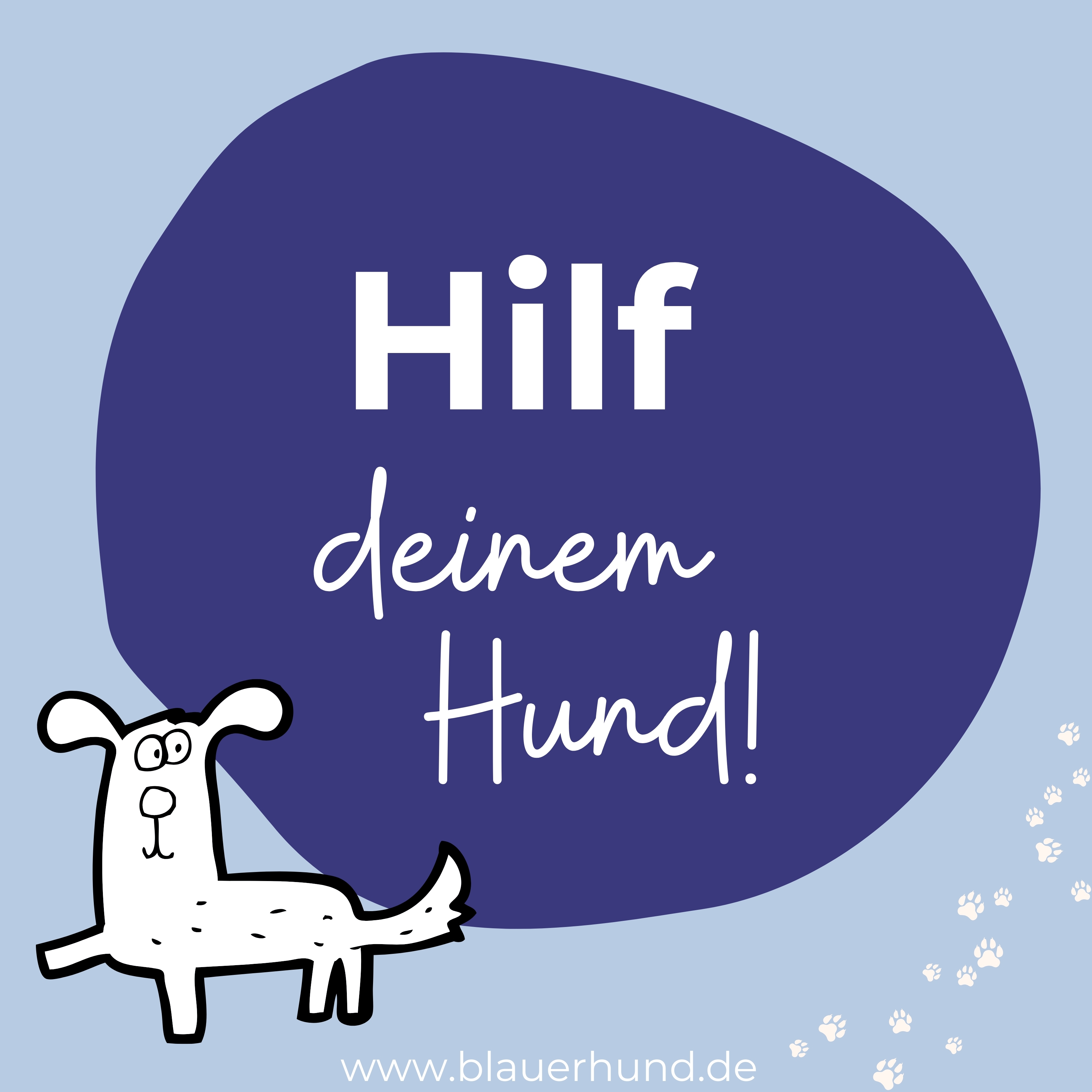 Hilf_deinem_Hund_Webinar-3375x3375.jpg