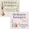 Heilsame Knospen Bundle