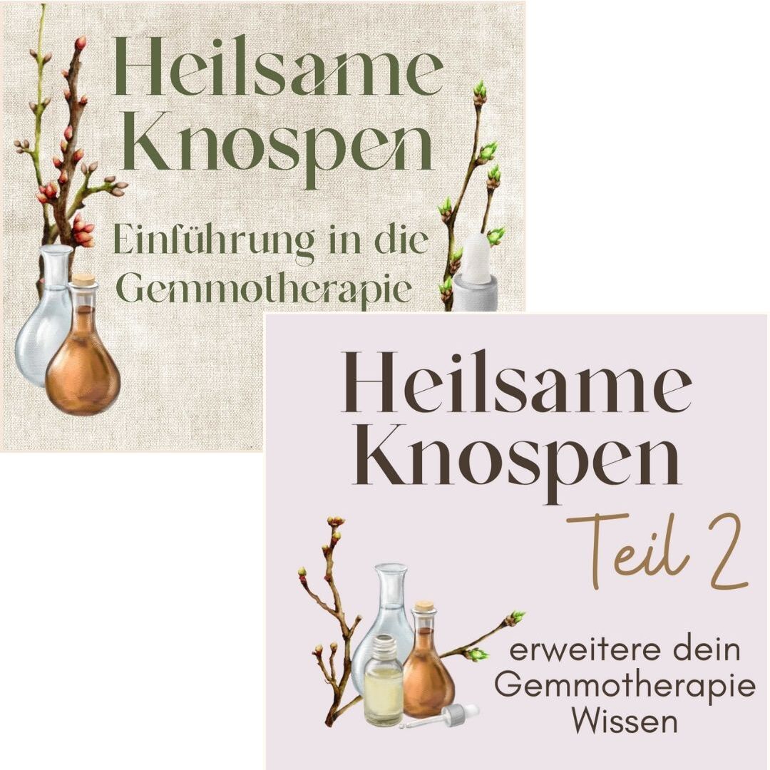 Heilsame Knospen Bundle