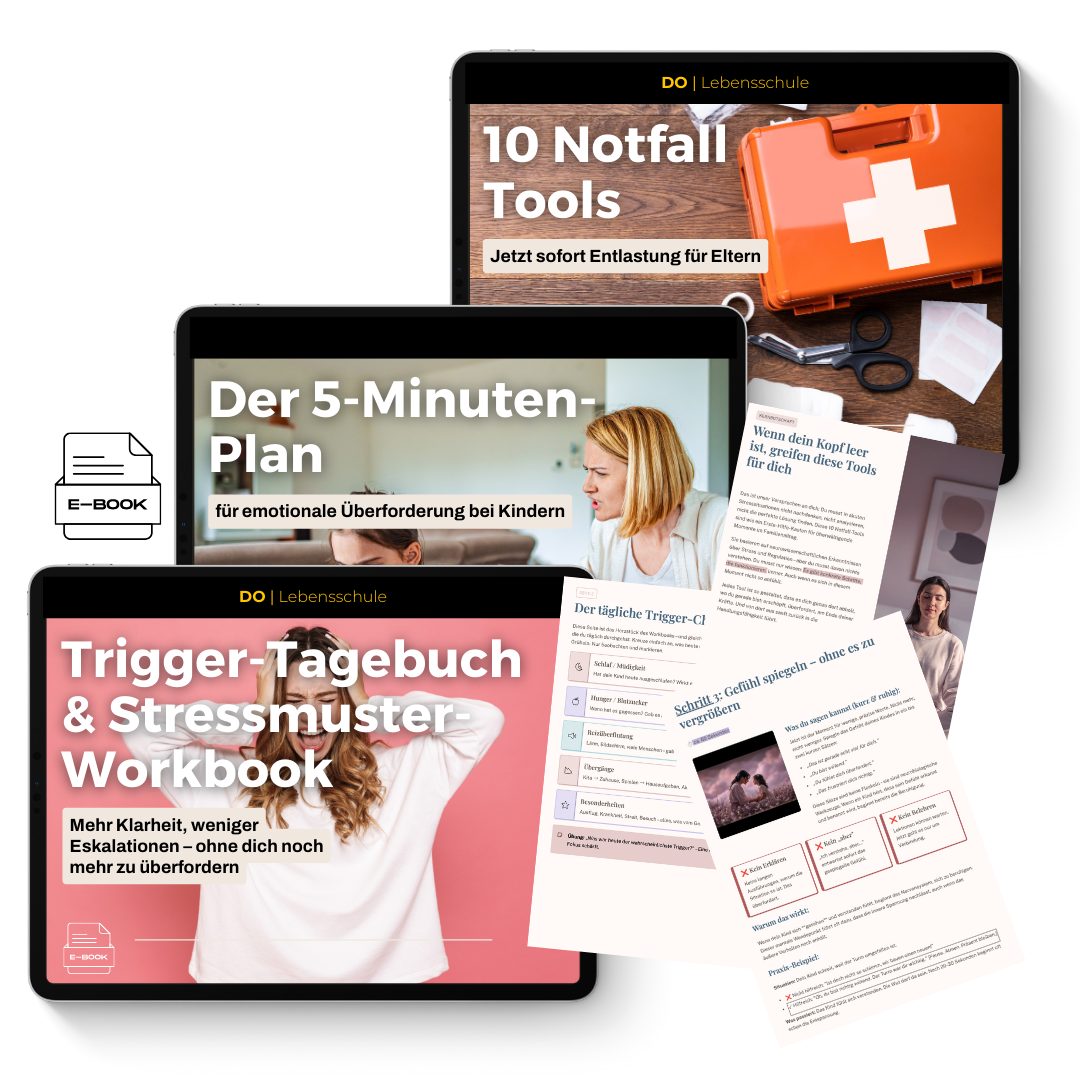 Alltagshelfer-Bundle