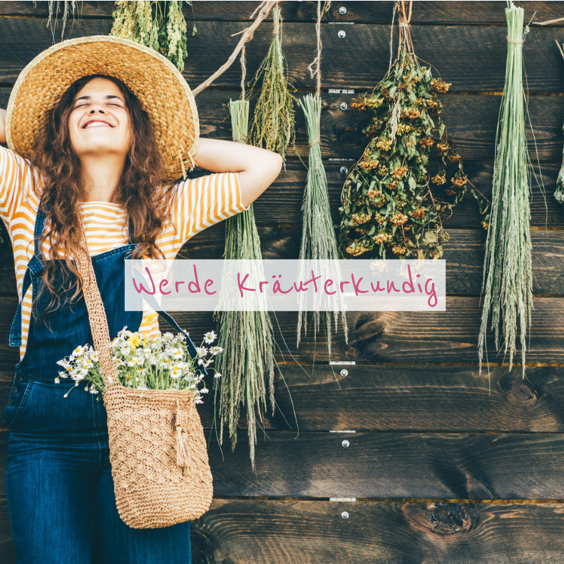 werde kräuterkundig Header 6 (2)-791x791.png
