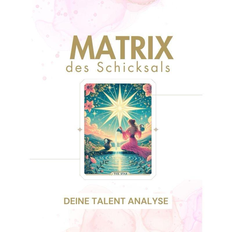 WhatsApp Image 2026-02-26 at 13.44.33-800x800.jpeg