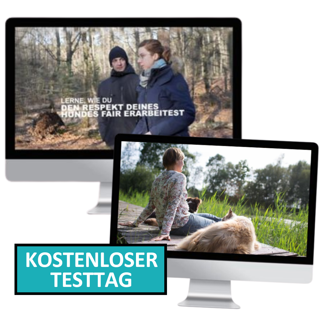 kostenlos-1073x1073.png
