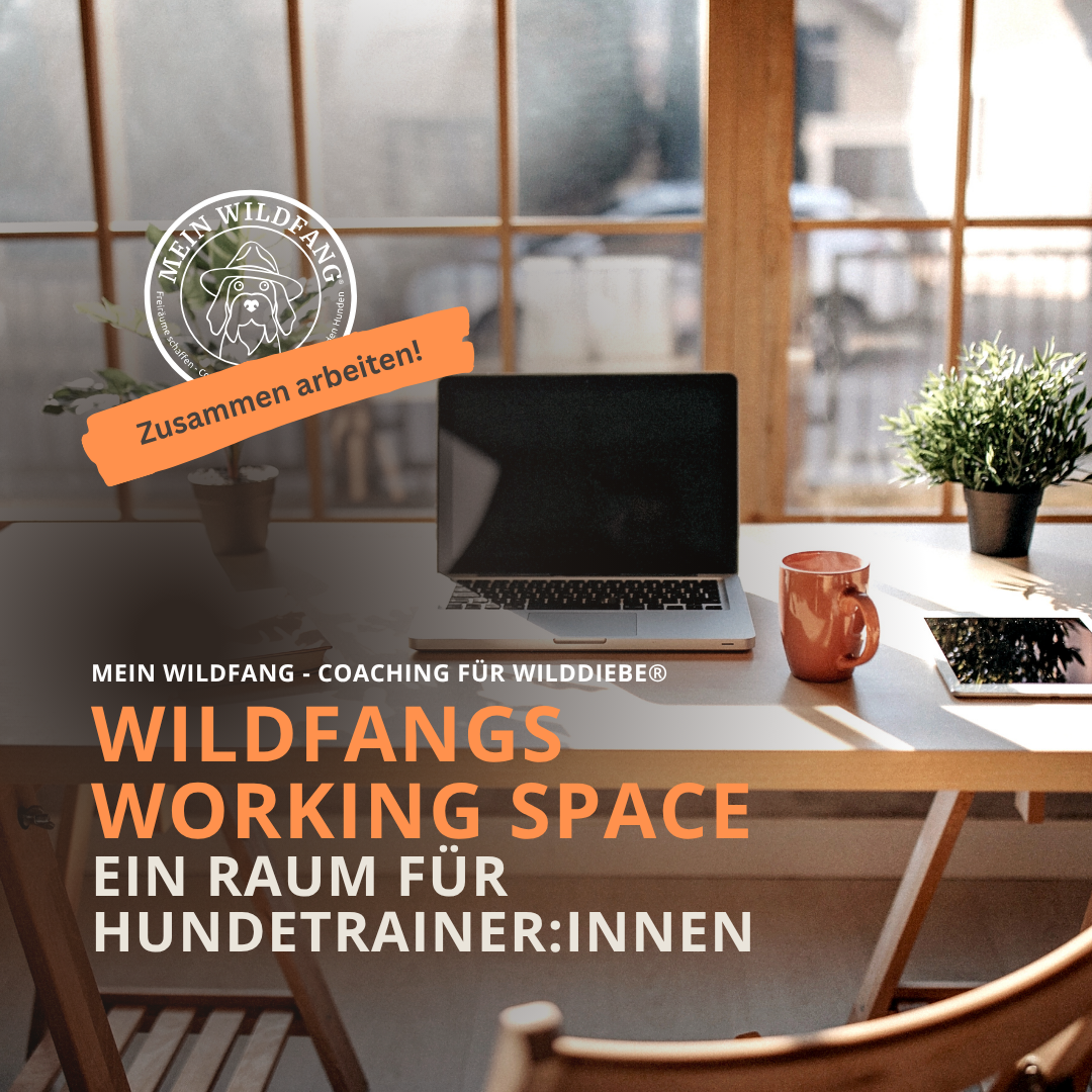 Produktbilder Elopage (11)-1080x1080.png