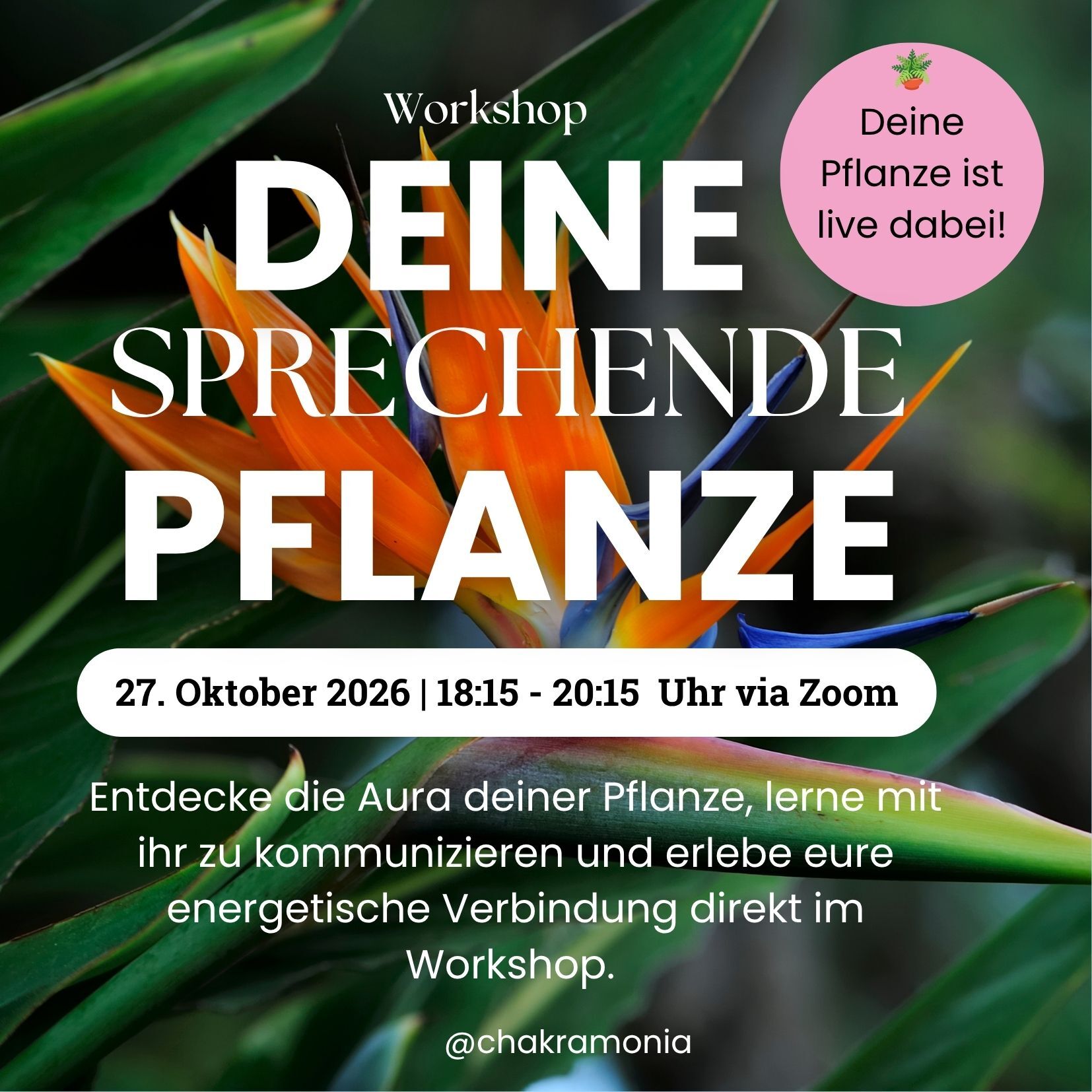 Workshop Pflanzen (1)-1654x1654.jpg
