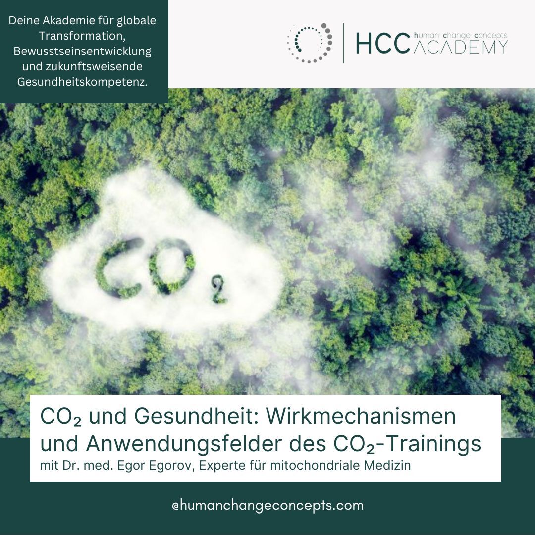 Bild CO2 Trockenbad, CO2Therapie, CO2 Training