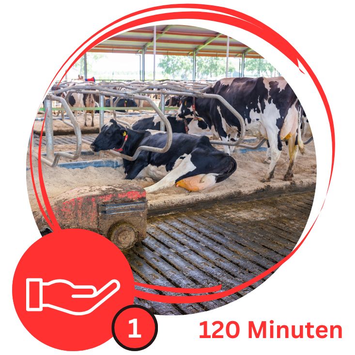 Kurslogo Haltungsumfeld 1