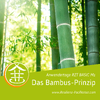 RZT BASICS Anwendertage M1: Das Bambus-Prinzip
