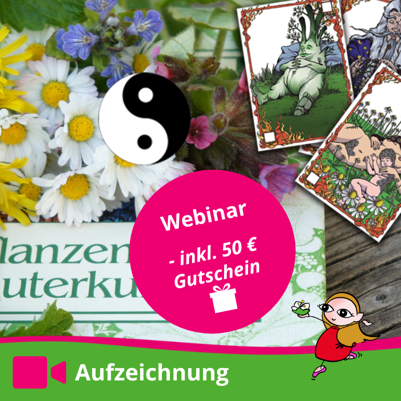 24 Meisterkräuter Webinar-800x800.png