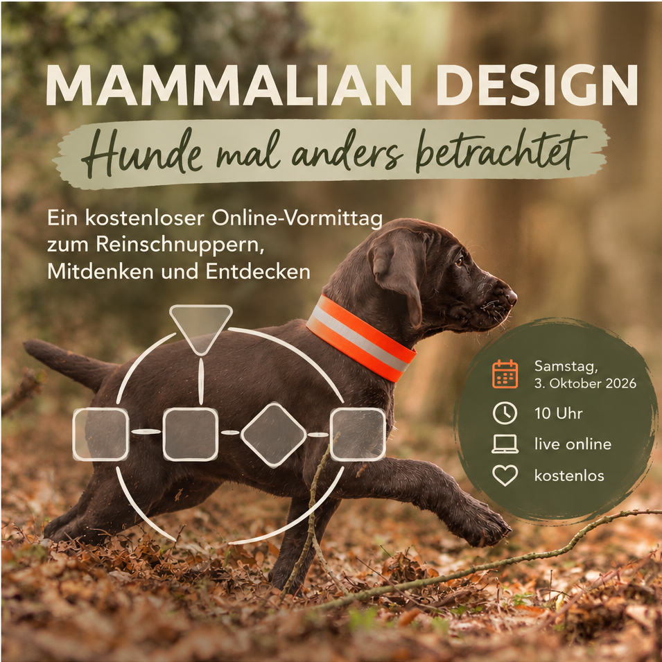 Mammalian_Design_Quadrat-955x955.png