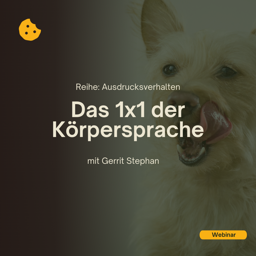 Reihe: Ausdrucksverhalten. Das 1x1 der Körpersprache Webinar mit Gerrit Stephan