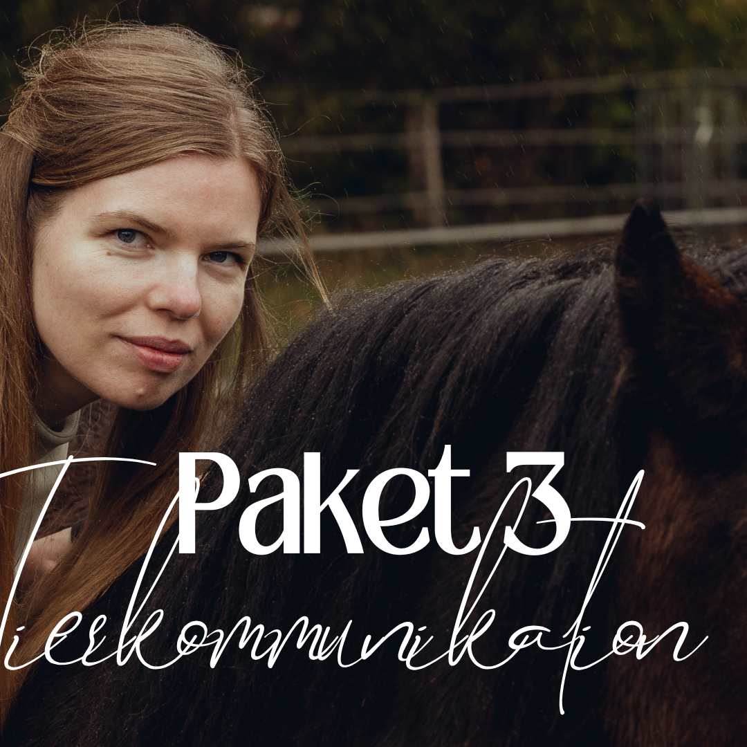 Reel Covers 4-1080x1080.png