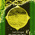 digital-icon