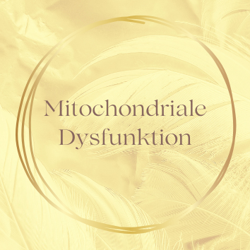 Bild Mitochondriale Dysfunktion-354x354.png