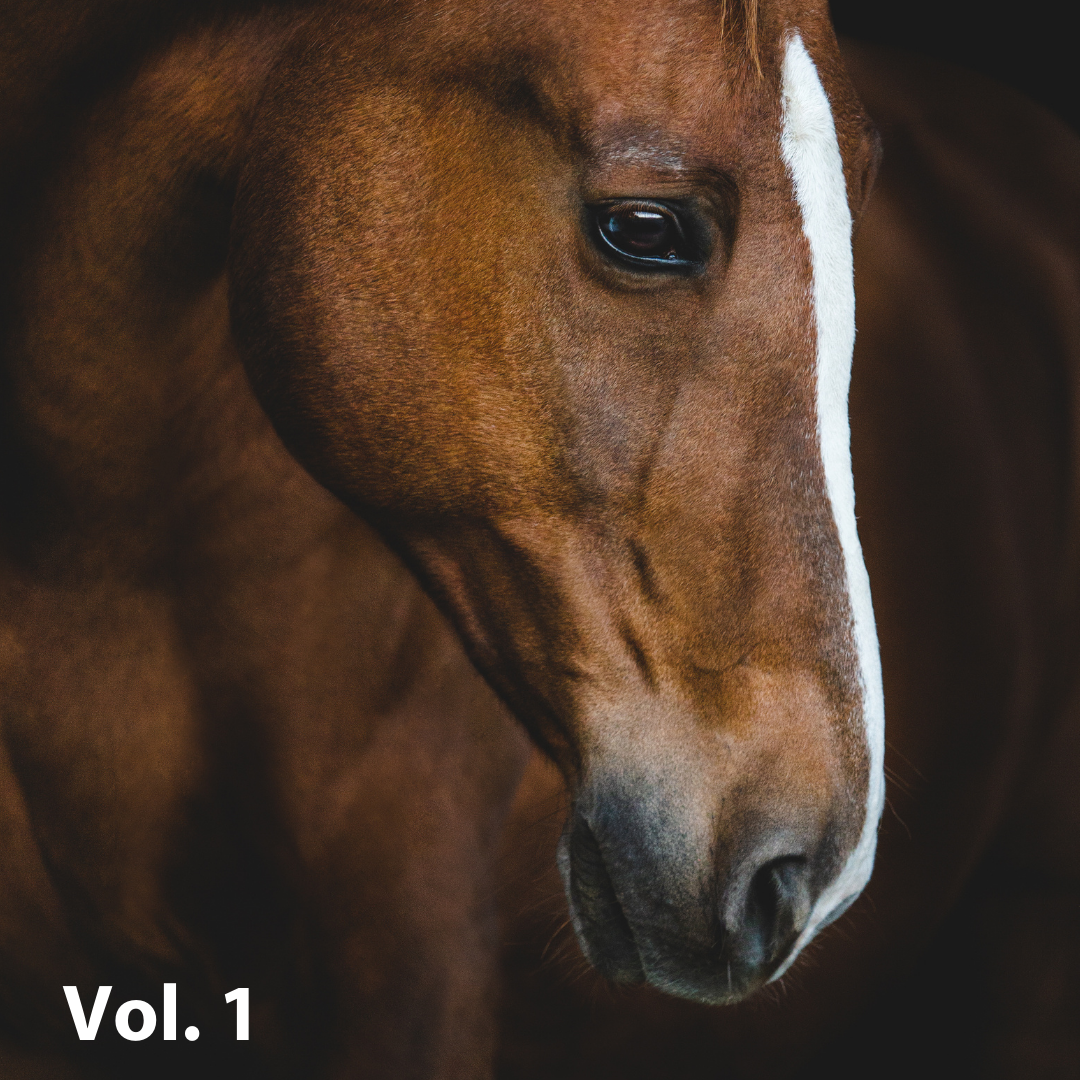 LR presets Vol 1-1080x1080.png