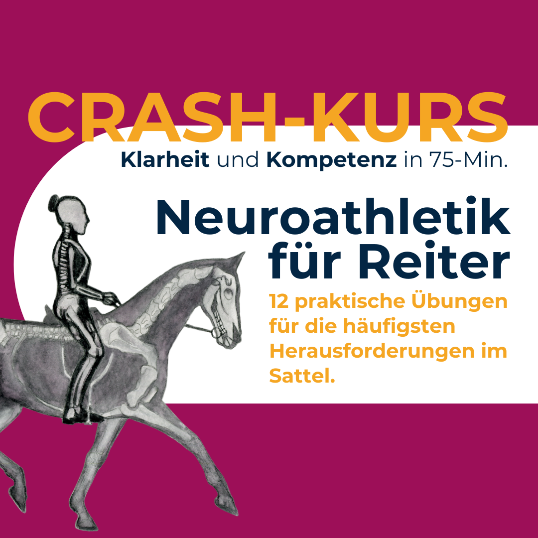2026_neurocrashreiter-1080x1080.png