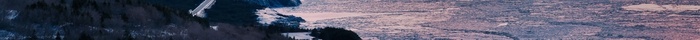 loaded_image