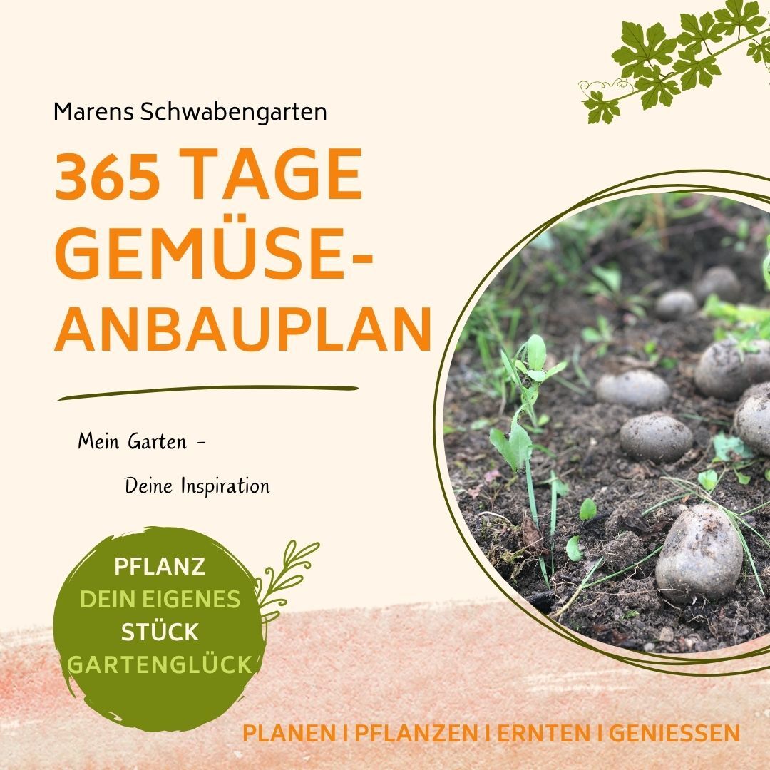 Banner für 365 Tage Gemüse-Anbauplan