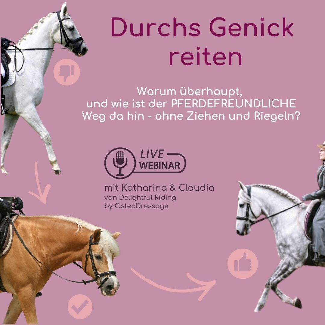 Webinar  titel     (240 x 60 px) (1080 x 1080 px)-8-1080x1080.jpg