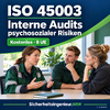 ISO 45003: Interne Audits psychosozialer Risiken. Kostenloser Aufbaukurs mit 8 UE. KI-Symbolbild eines Auditgesprächs.