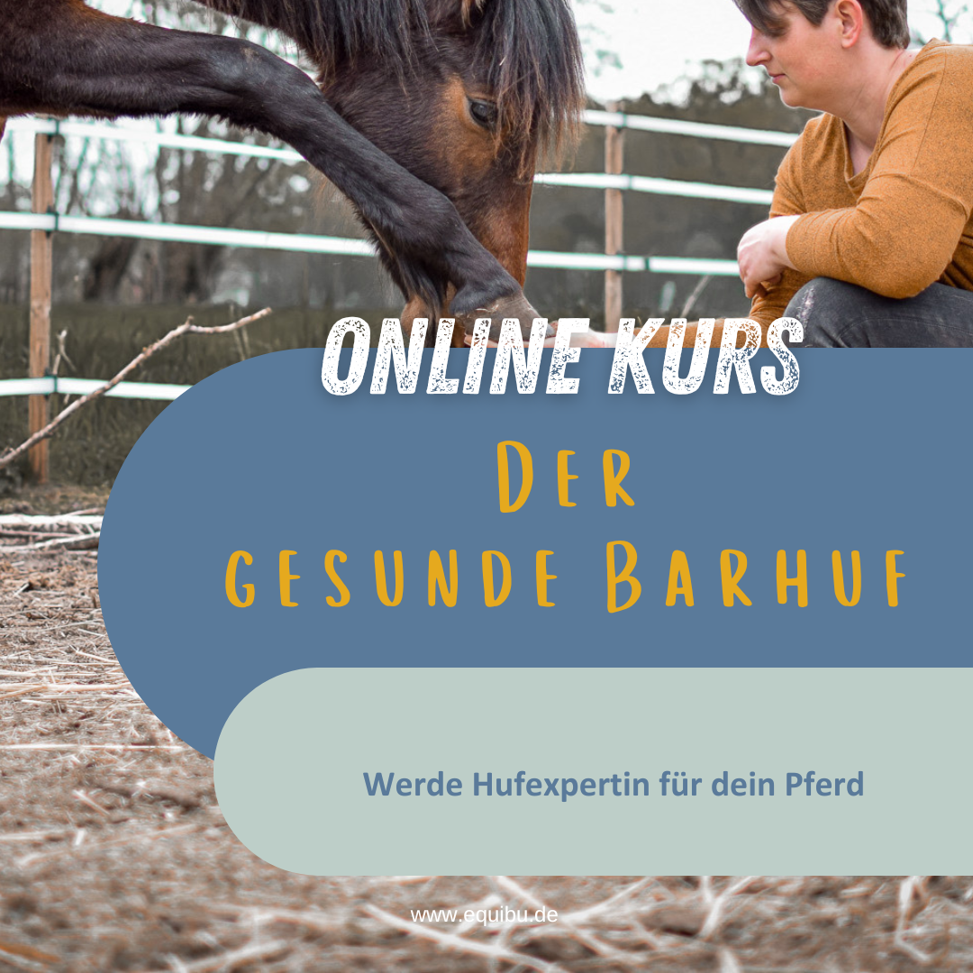 Kopie von Kopie von elopage Bild Hufe lesen - Hufe Verstehen-1080x1080.png