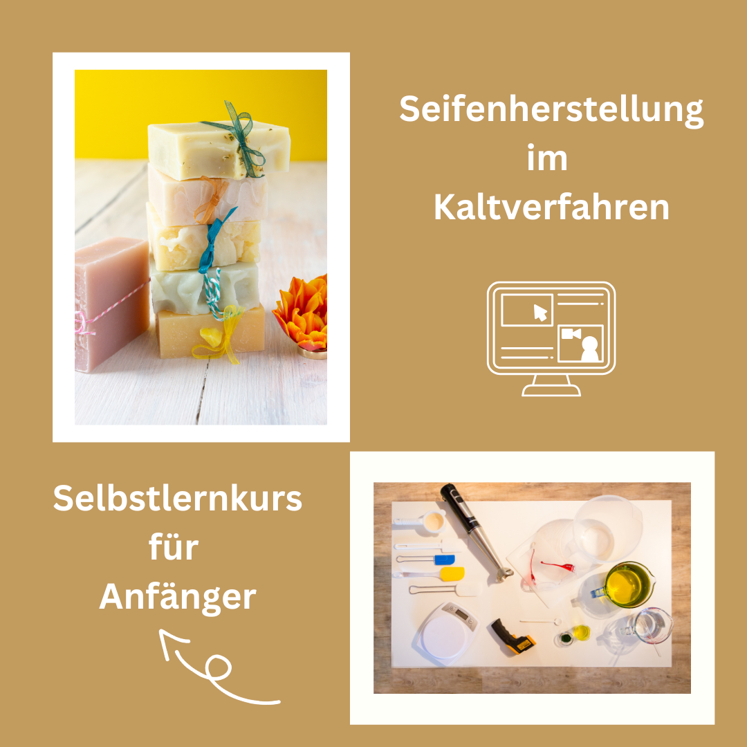 Selbstlernkurs SEIFE Produktfoto-1080x1080.png