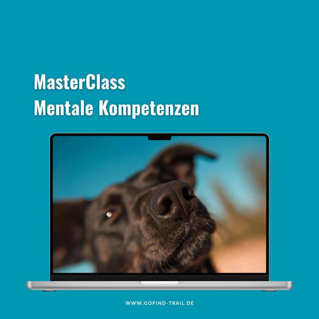 GO_FIND_MasterClass_Mentale_Kompetenzen-1080x1080.png