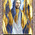 digital-icon