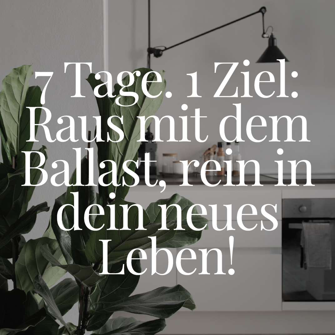 Bildschirmfoto 2025-12-11 um 15.11.02-1072x1072.png