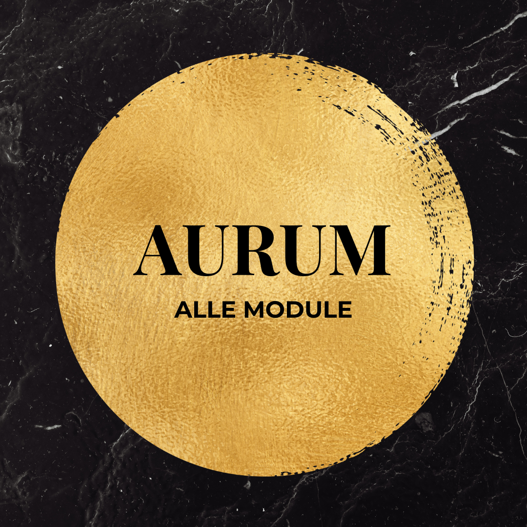 AURUM Produktbilder alle module-1080x1080.png