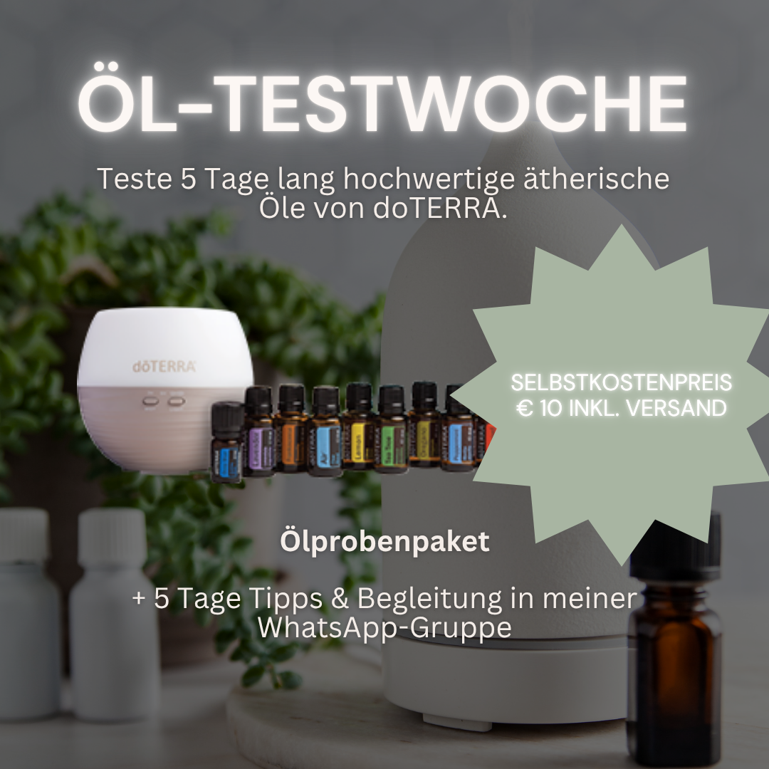 Home Essential Ad (2)-1080x1080.png