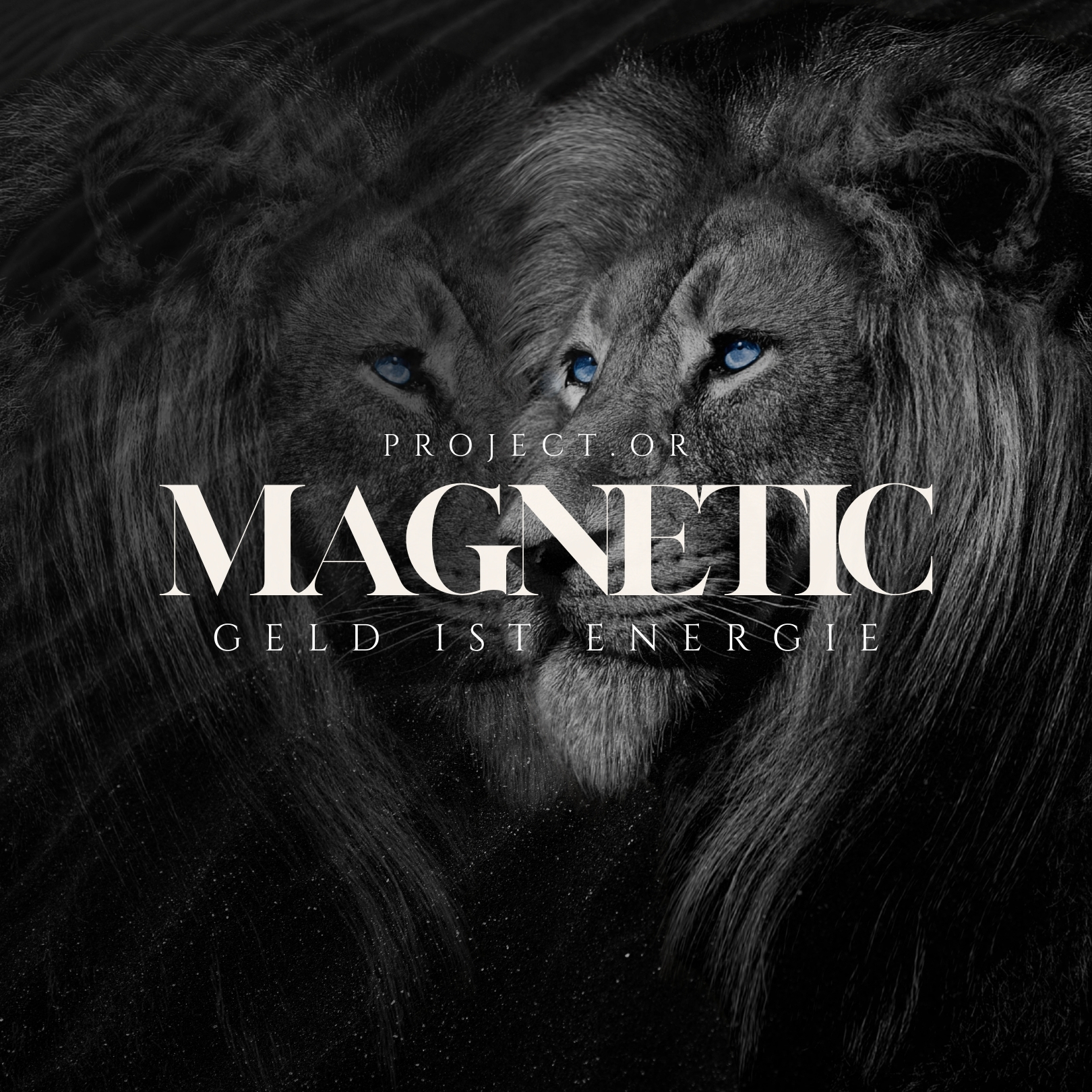 Magnetic Elopage9-1620x1620.jpg