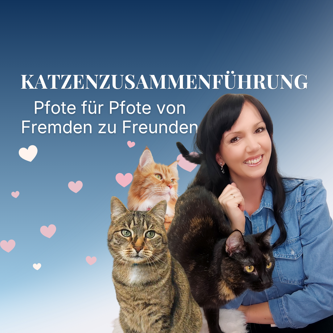 Imagebild Zusammenführung -1080x1080.png