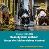 Webinar Rassetypisch suchen: Nutze die Stärken deines Hundes!