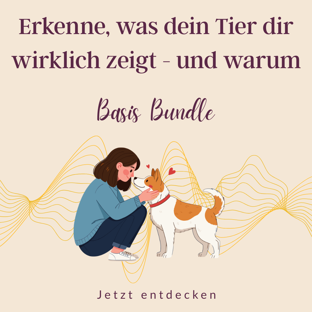 Produktbild für Basis Bundle