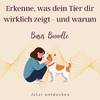 Produktbild für Basis Bundle