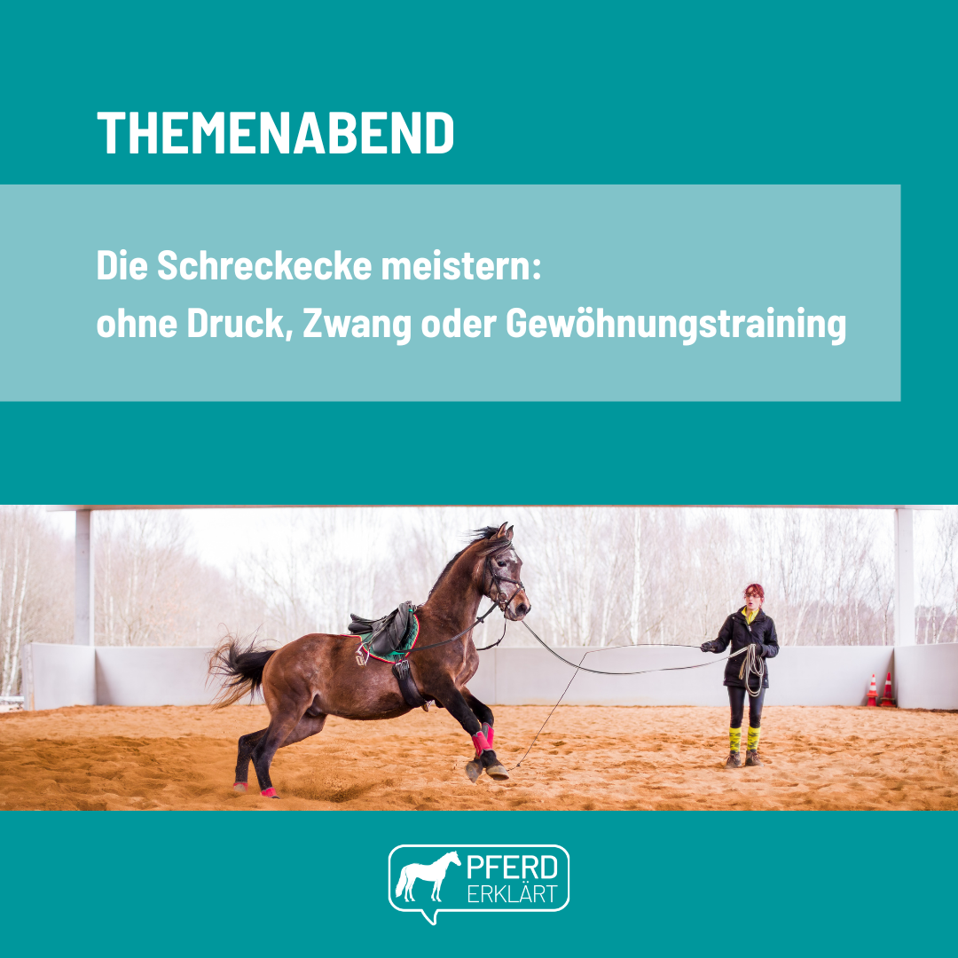 Themenabend Schreckecke