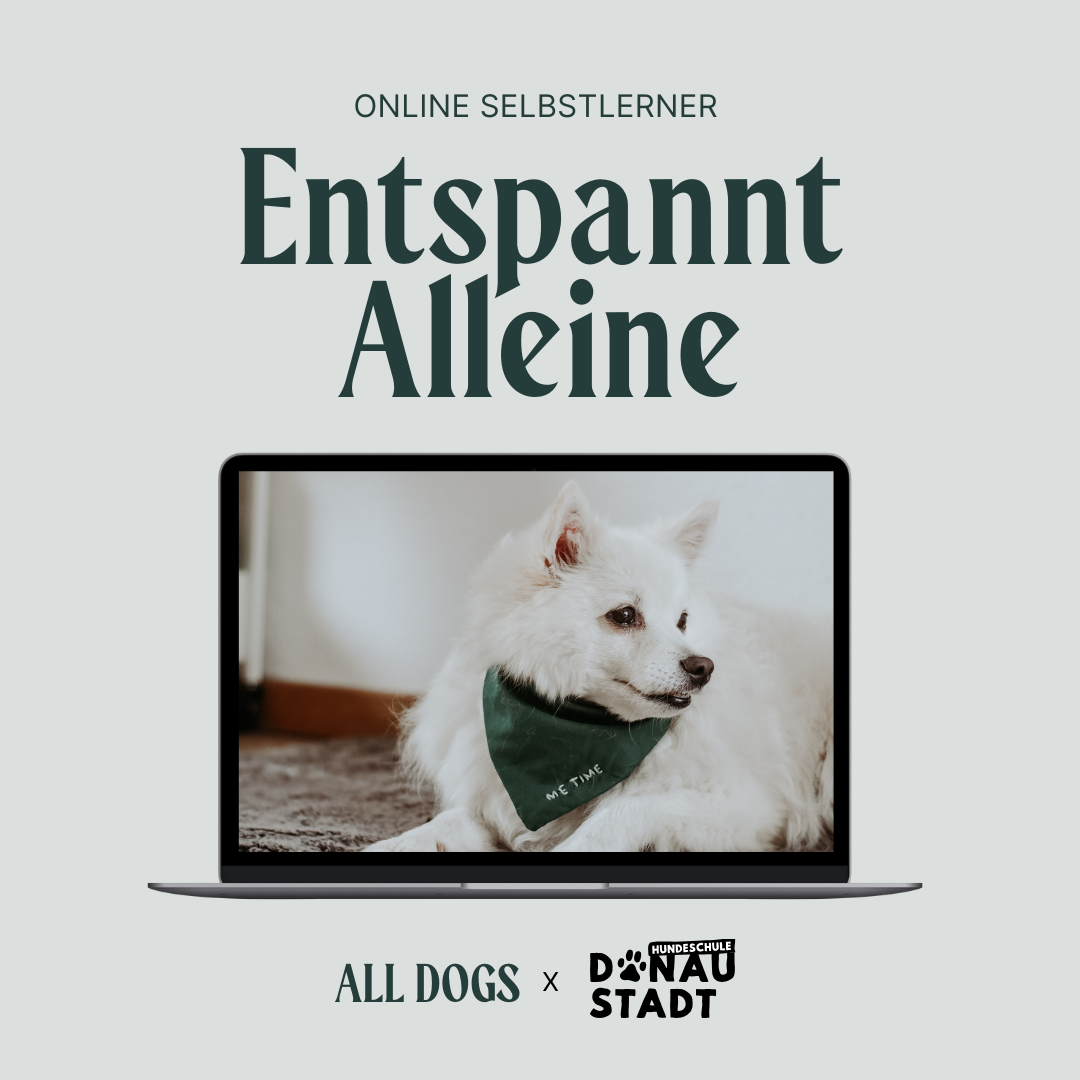 Produktbild-Entspannt-Alleine-1080x1080.png