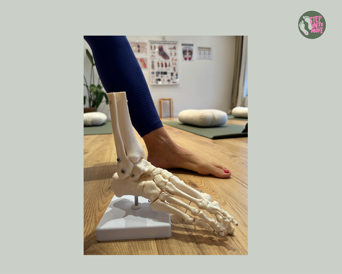 Fußmodell mit stepintomove-Logo