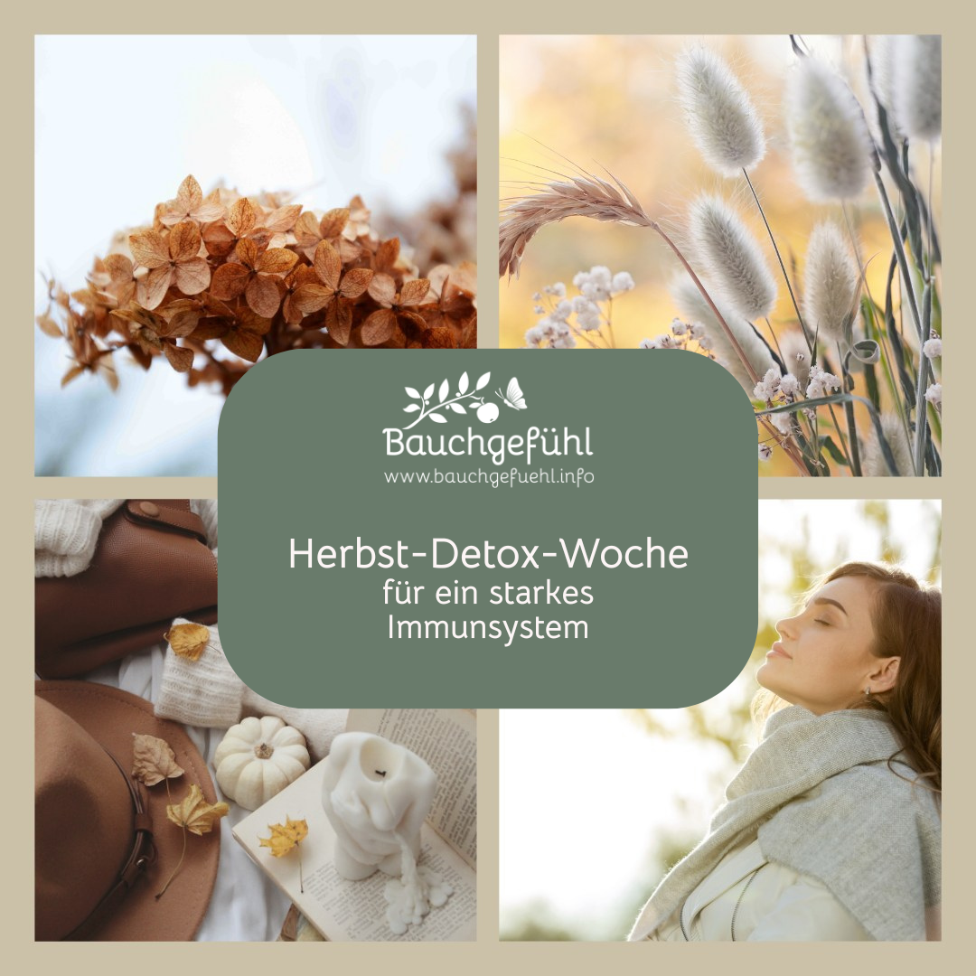 Immundetox neu-1080x1080.png