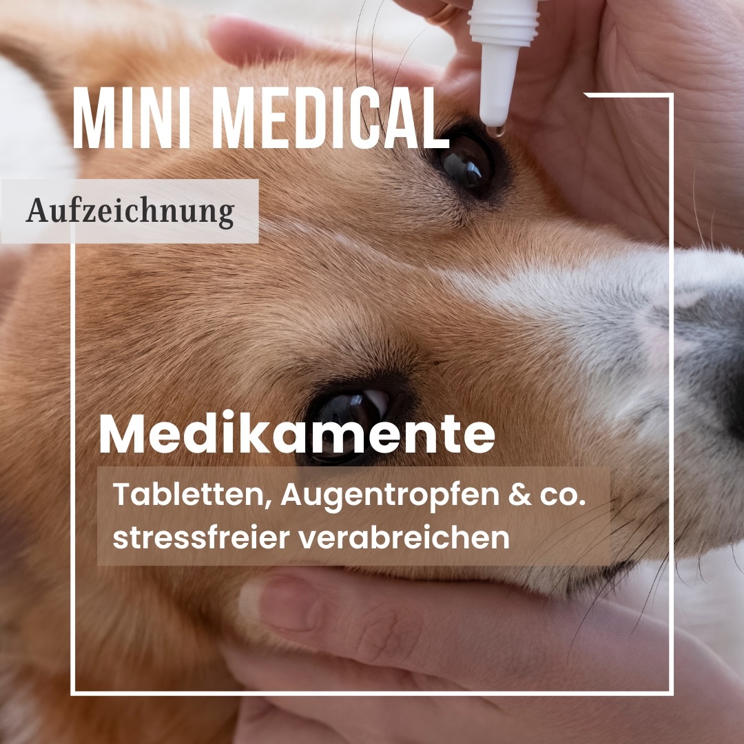 Mini Medical Medikamente