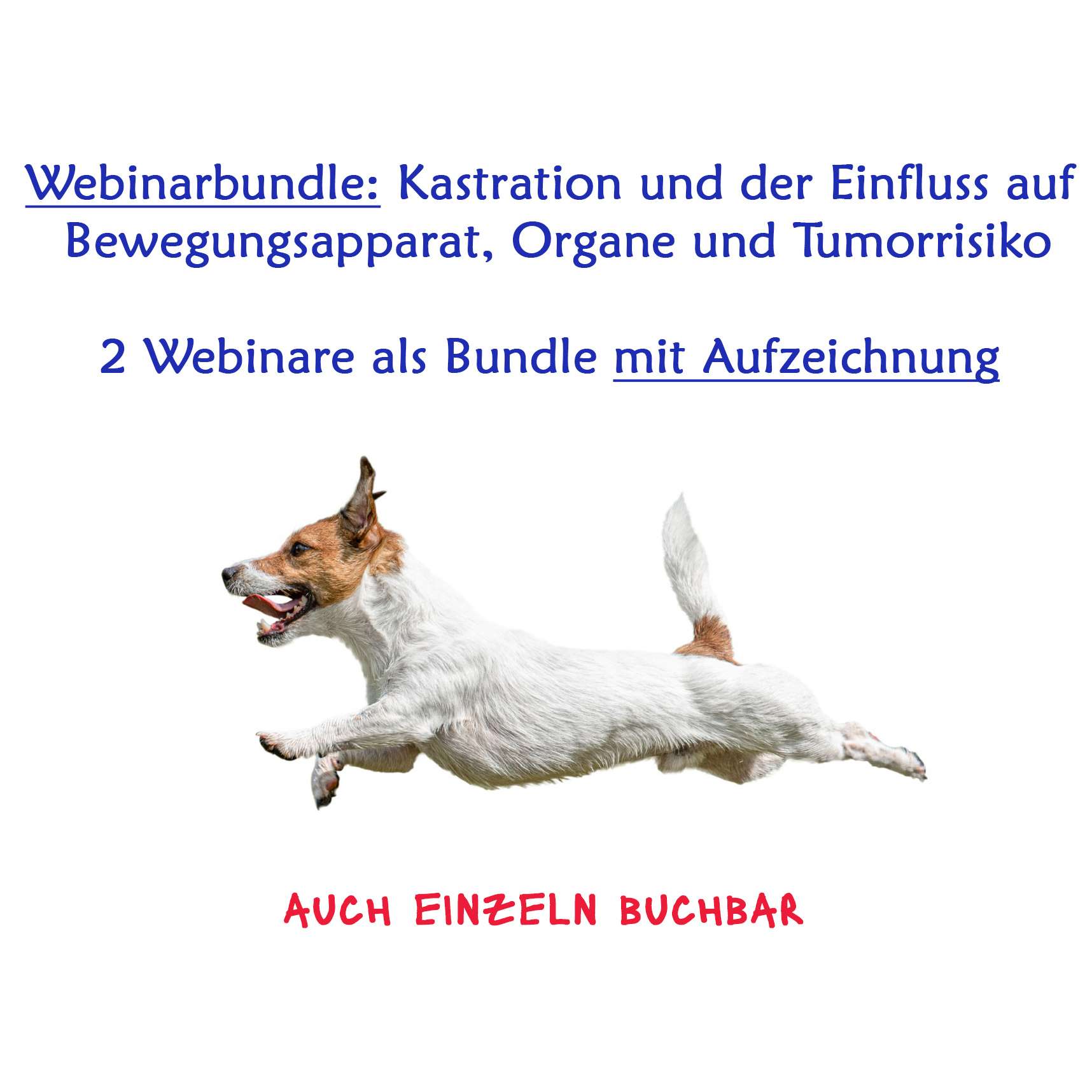 KastrationBundle-1716x1716.jpg