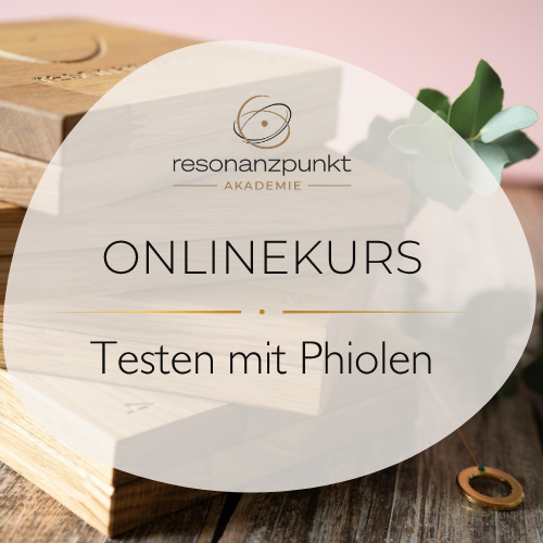 Onlinekurs - Testen mit Testkaesten