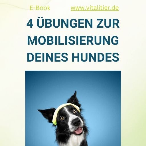 Mobi E-Book-512x512.jpg