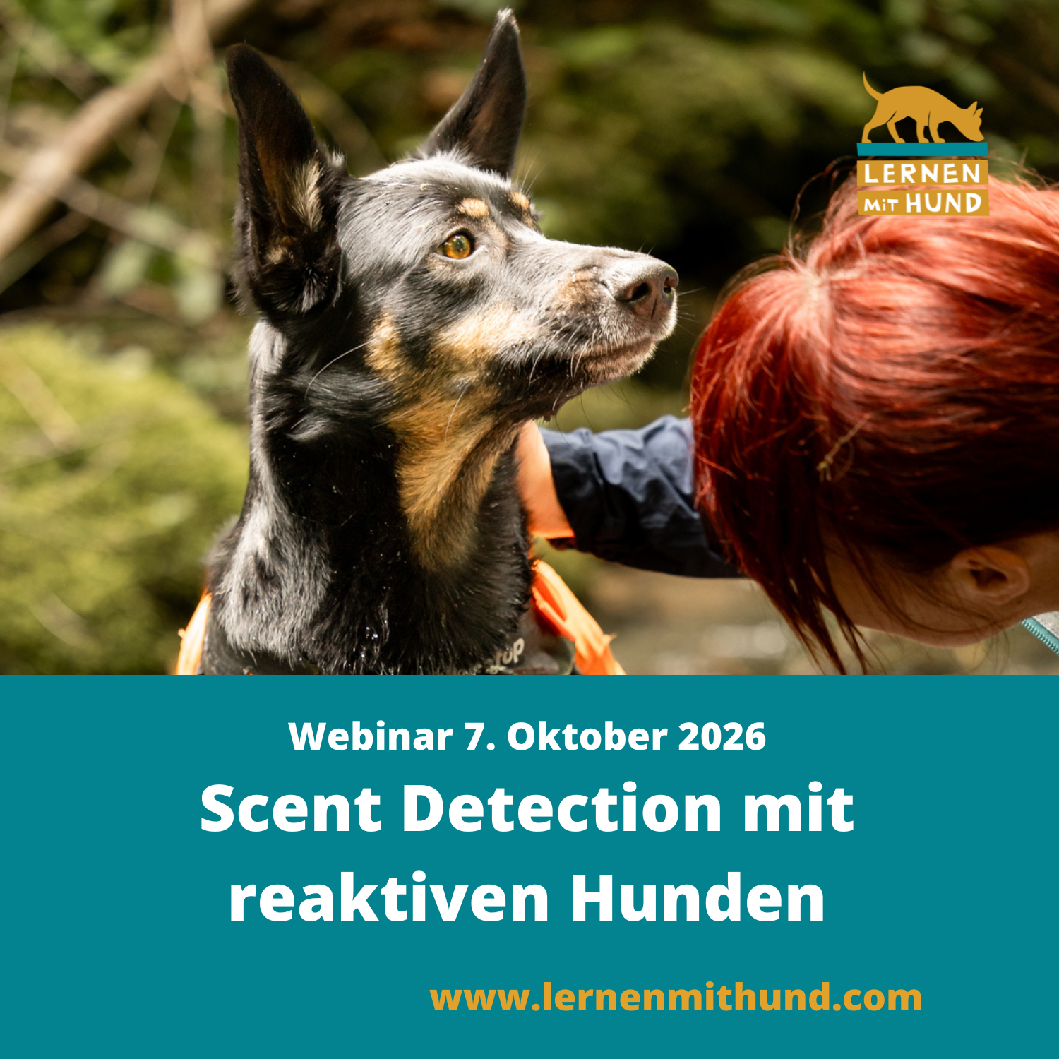Webinar Scent Detection mit reaktiven Hunden-1500x1500.png